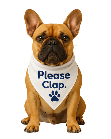 Please Clap. Pet Bandana