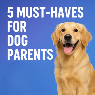 The 5 Must-Have Products Every Dog Parent Should Know About