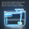 Smart Sensor Water Dispenser