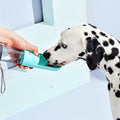 Pet Water Bottle Dispenser