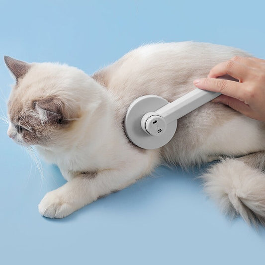 Cat Self Cleaning Slicker Brush