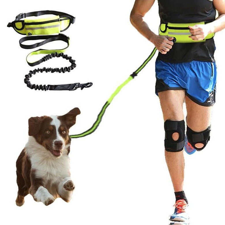 Hands-Free Running Dog Leash