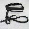 Hands-Free Running Dog Leash